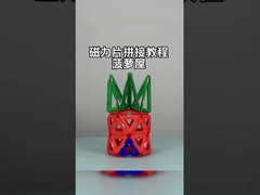 Magnetische Fliesen mit vielseitigen Formen für Tiere und Pflanzen Ananashaus