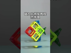 Magnetische Fliesen mit vielseitigen Formen für Tiere und Pflanzen Tropische Fische